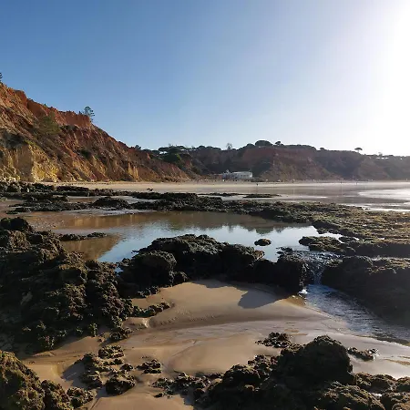 Paradise In Olhos D'Agua Beach Albufeira Extérieur photo