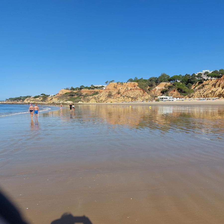 Paradise In Olhos D'agua Apartment